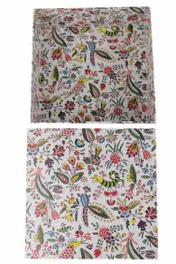 Grande Boîte Ouvrage Coquecigrues