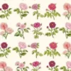 Tissu Coton Au Mètre Roses De Joséphine -Maison Sajou Soldes tissu coton au metre roses de josephine
